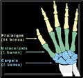 rsi cts carpel hand